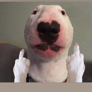 Meet your Posher, Justin